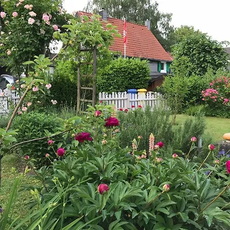 Buxhaus 3* Solingen