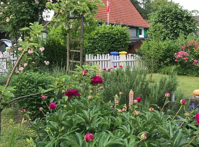 Buxhaus 4* Σόλινγκεν